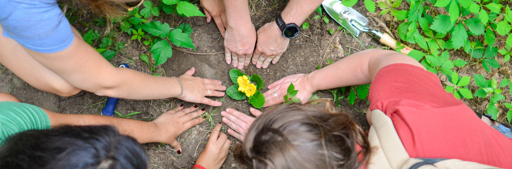 Peoples hands around a flower planted in garden. Photo by Element5 Digital on Unsplash