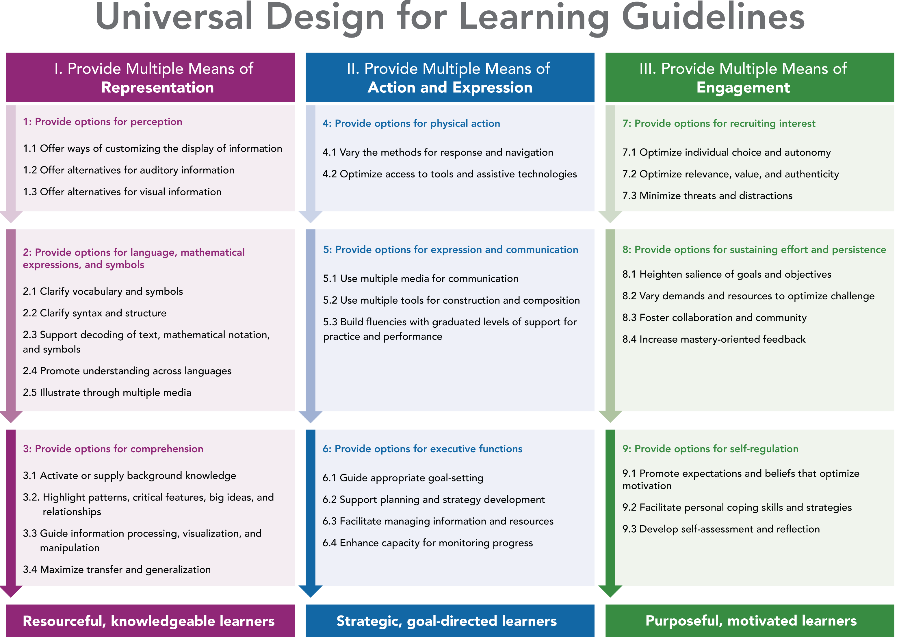 Image of a table with the title Universal Design for Learning Guidelines