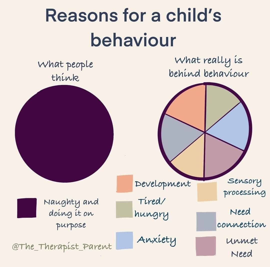 An image of two pie charts with the titles 'reasons for a child's behaviour'. The first chart is titled 'what people think' and is filled with the category 'naughty and doing it on purpose'. The other piece chart has 6 categories and is titled what really is behind behaviour. The categories are equal and are: development, tired/hungry, anxiety, sensory processing, need connection and unment need.