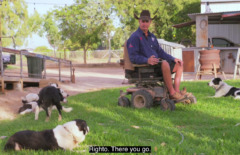 Steve the Dog Trainer